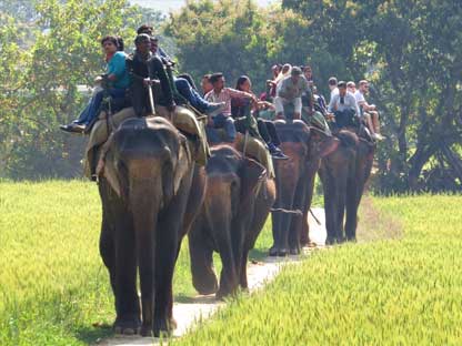 adventure-kaziranga