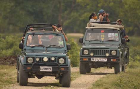 best-time-kaziranga