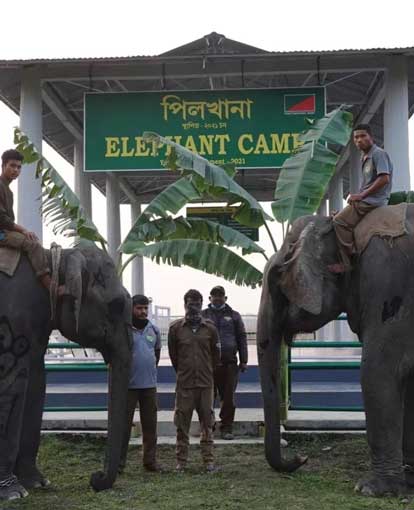 kaziranga-gates