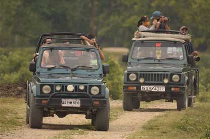 kaziranga-jeep