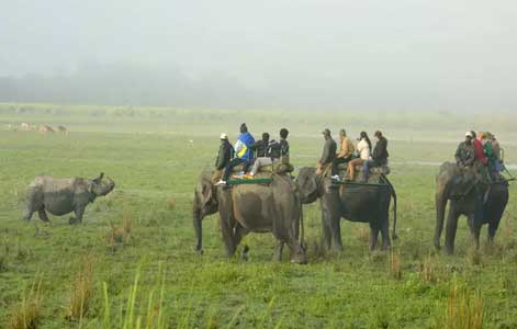 travel-guide-kaziranga